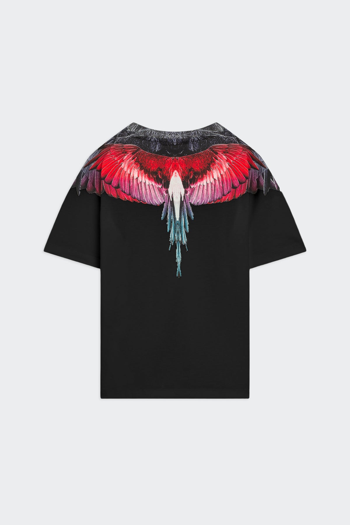 T-Shirt Con Stampa Ali Aquila