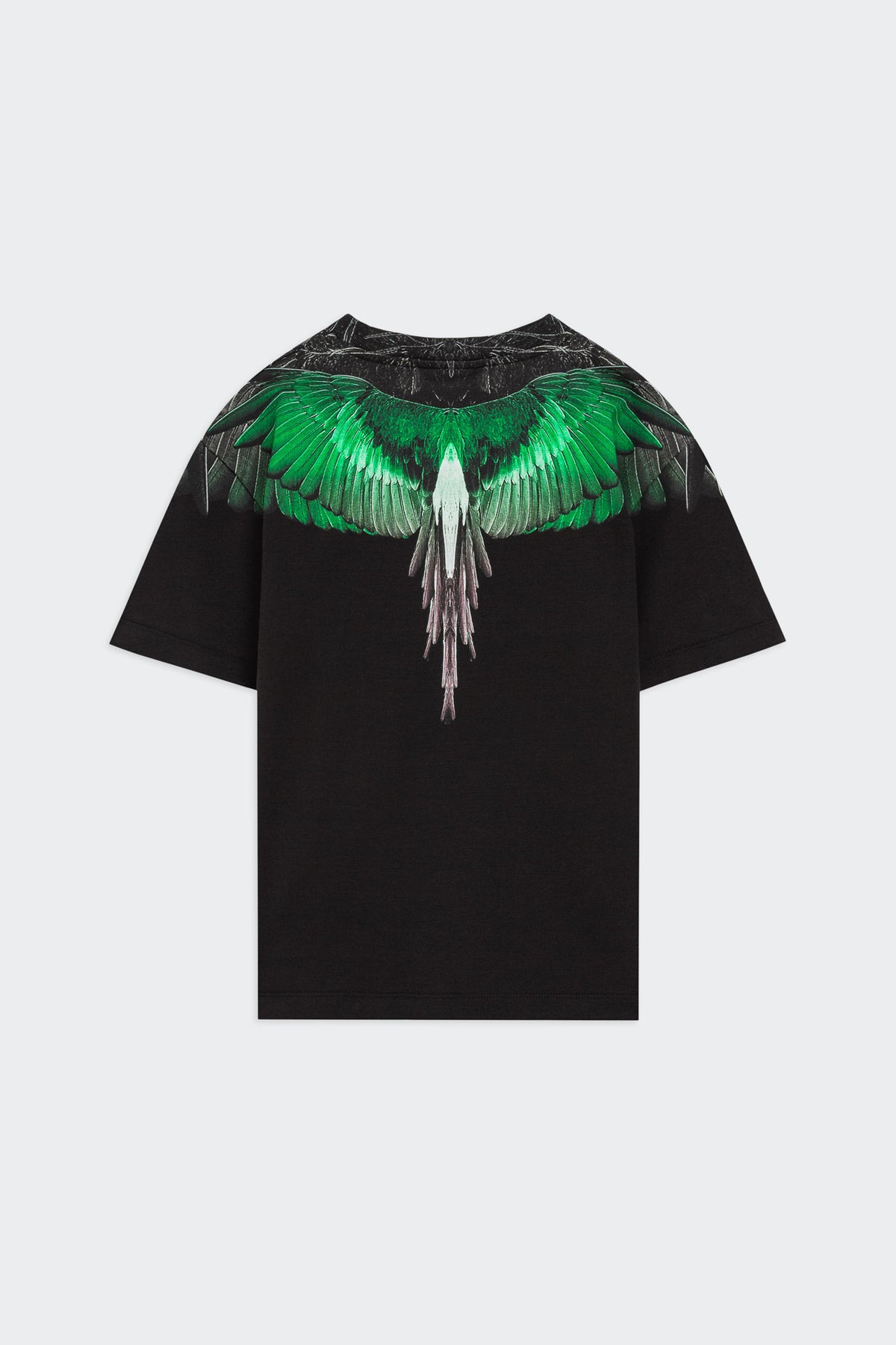 T-Shirt Con Stampa Ali Aquila