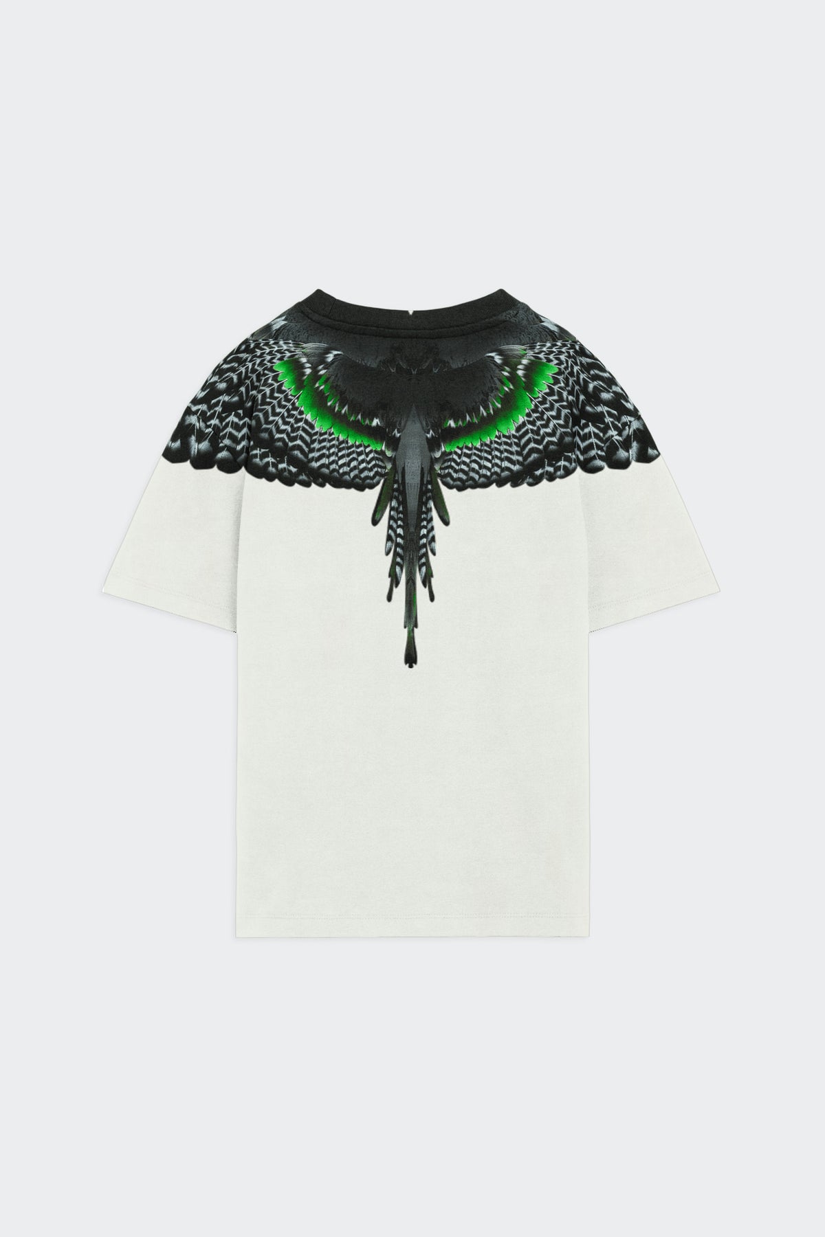 T-Shirt Con Stampa Ali Aquila