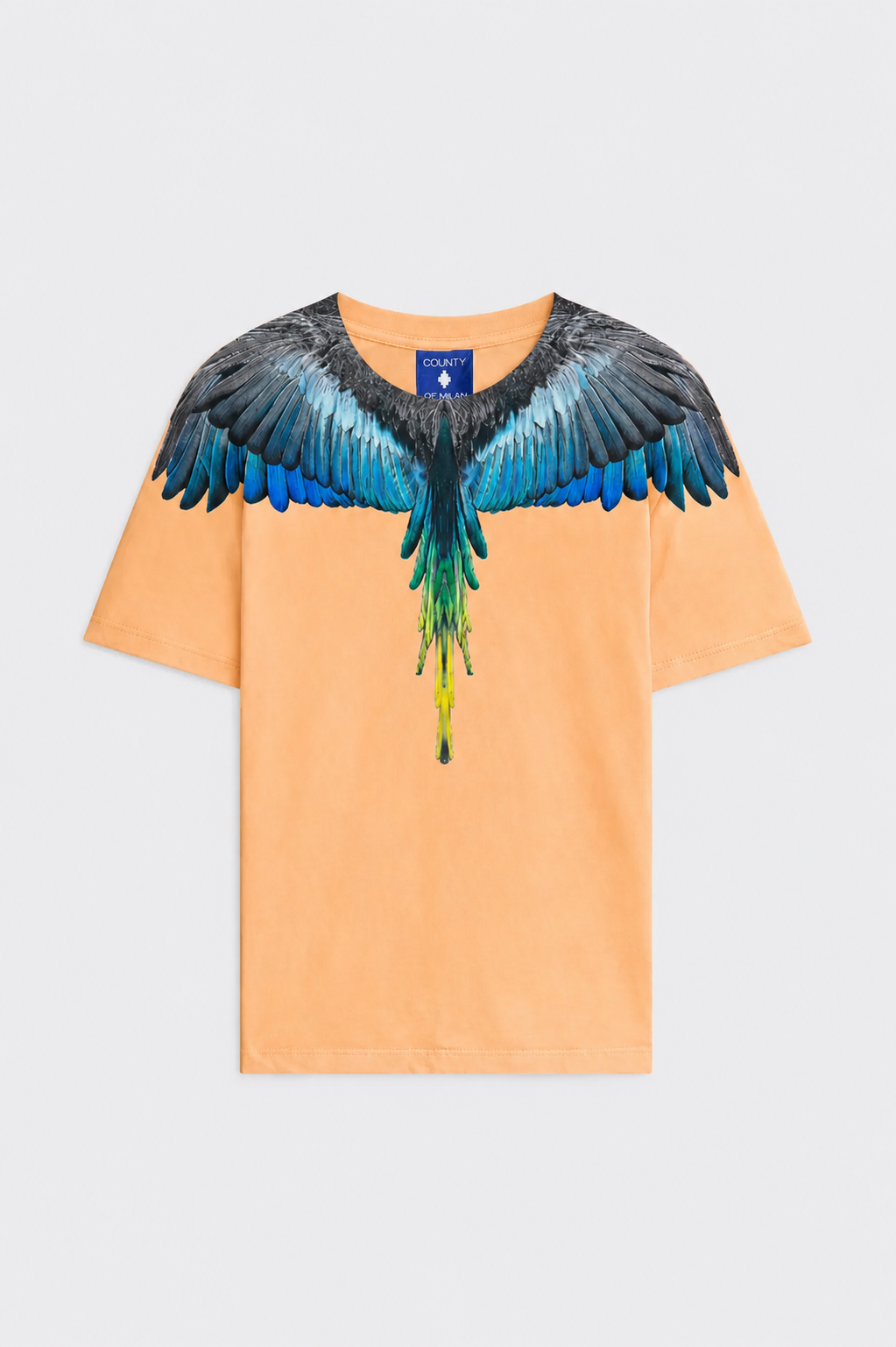 T-Shirt Con Stampa Ali Aquila