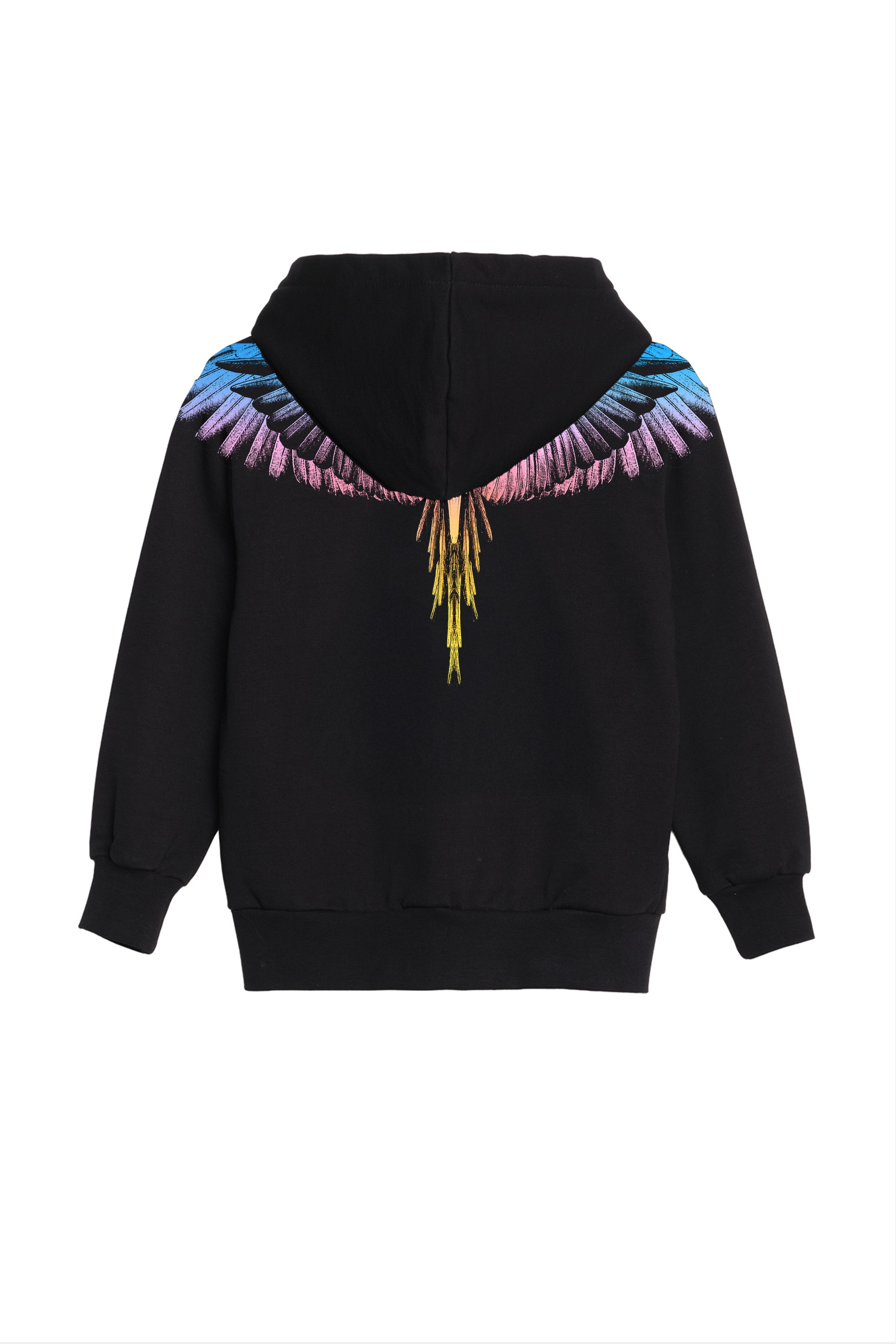 Felpa Zip Con Stampa Ali Aquila