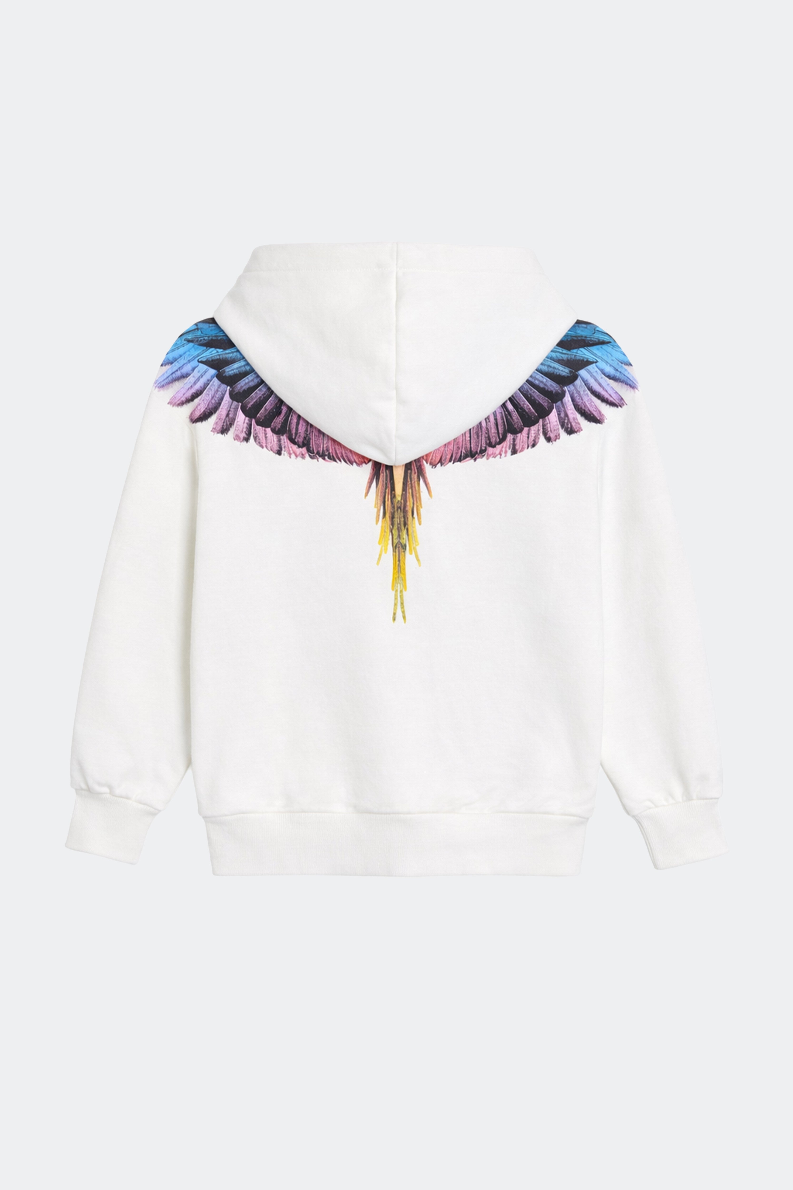 Felpa Zip Con Stampa Ali Aquila