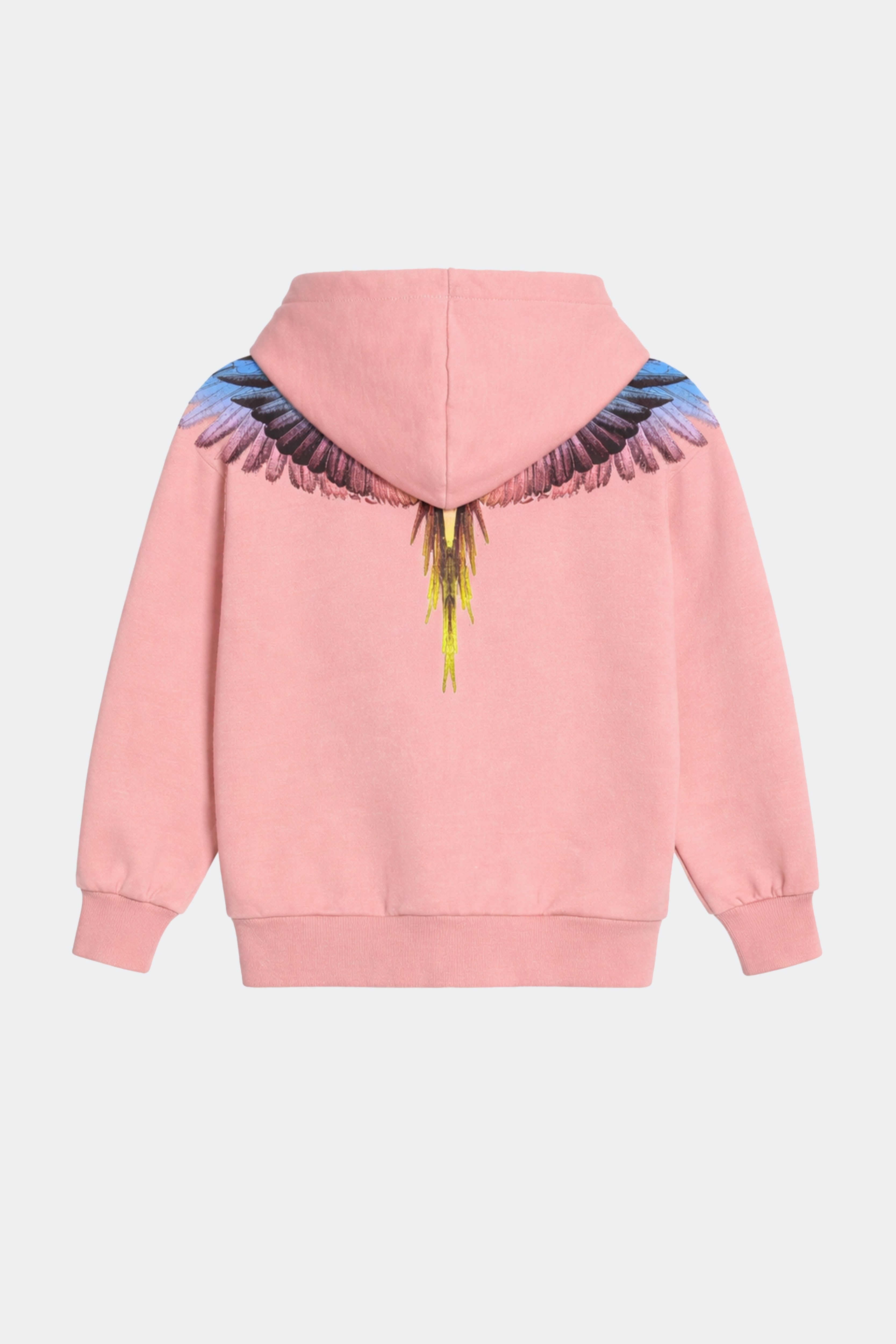 Felpa Zip Con Stampa Ali Aquila