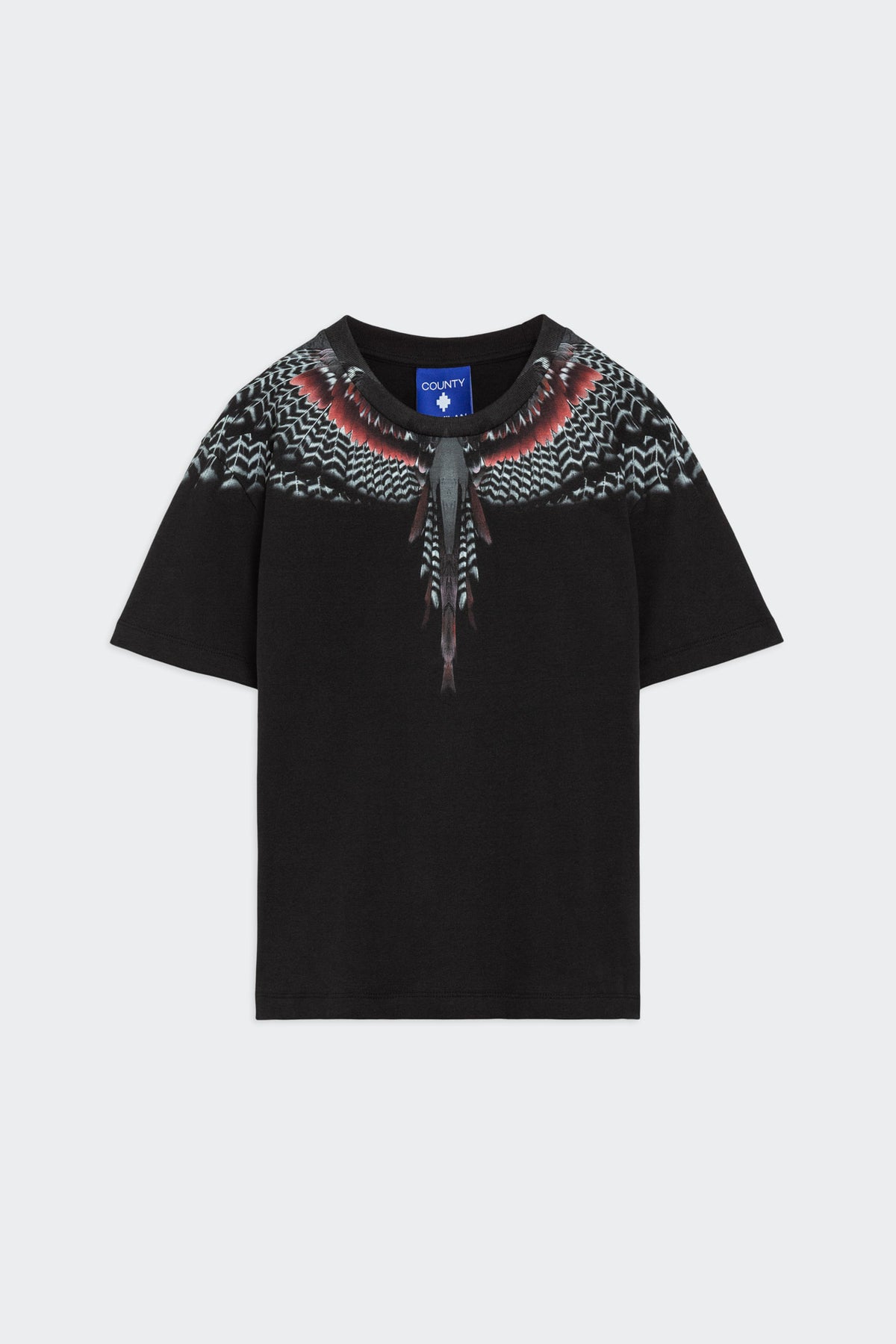 T-Shirt Con Stampa Ali Aquila