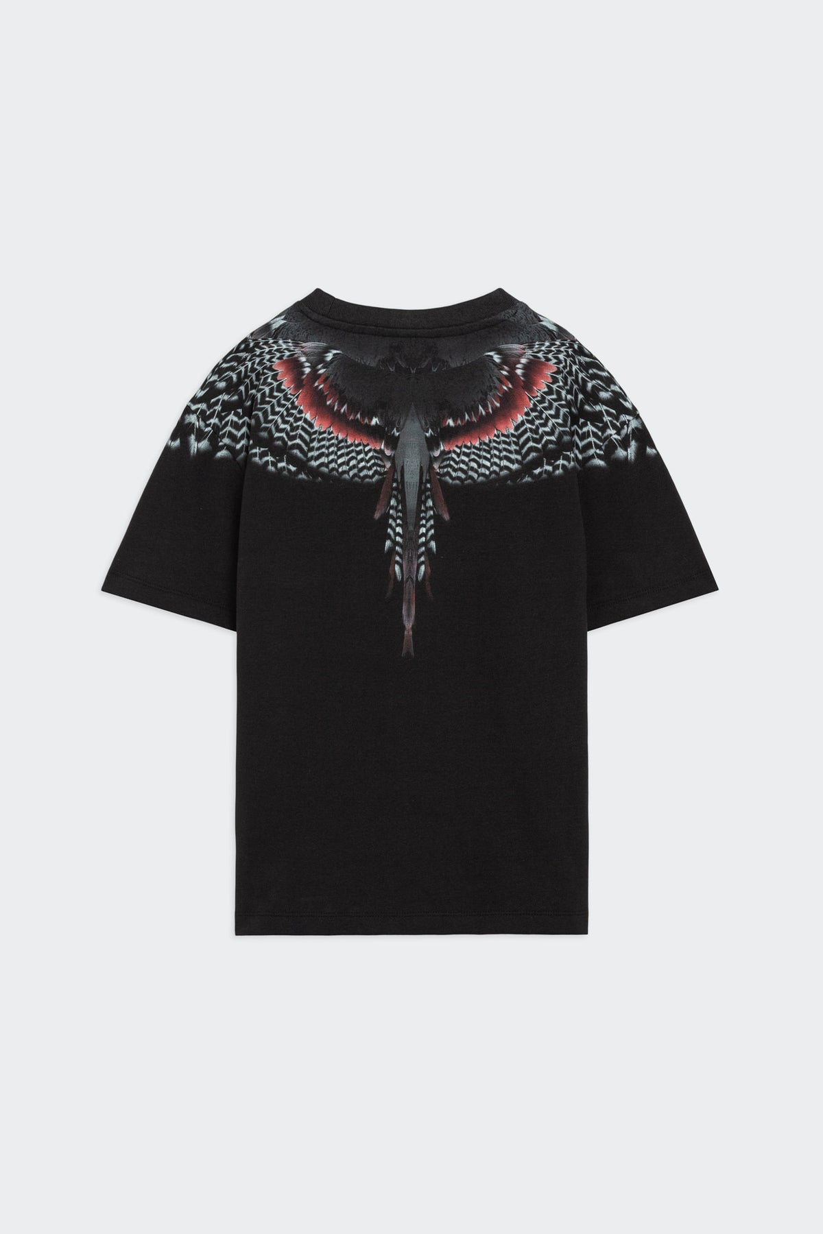 T-Shirt Con Stampa Ali Aquila