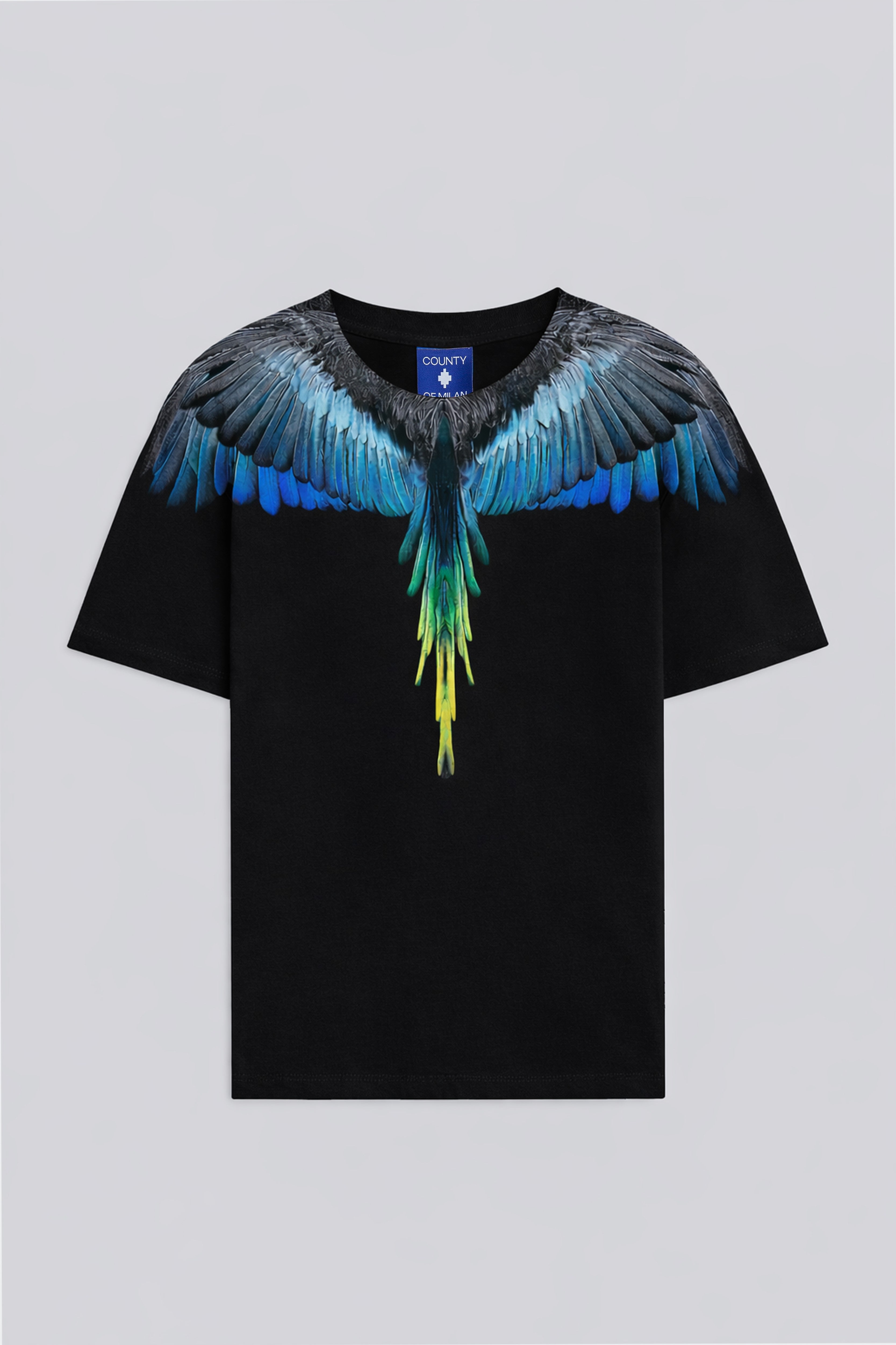 T-Shirt Con Stampa Ali Aquila