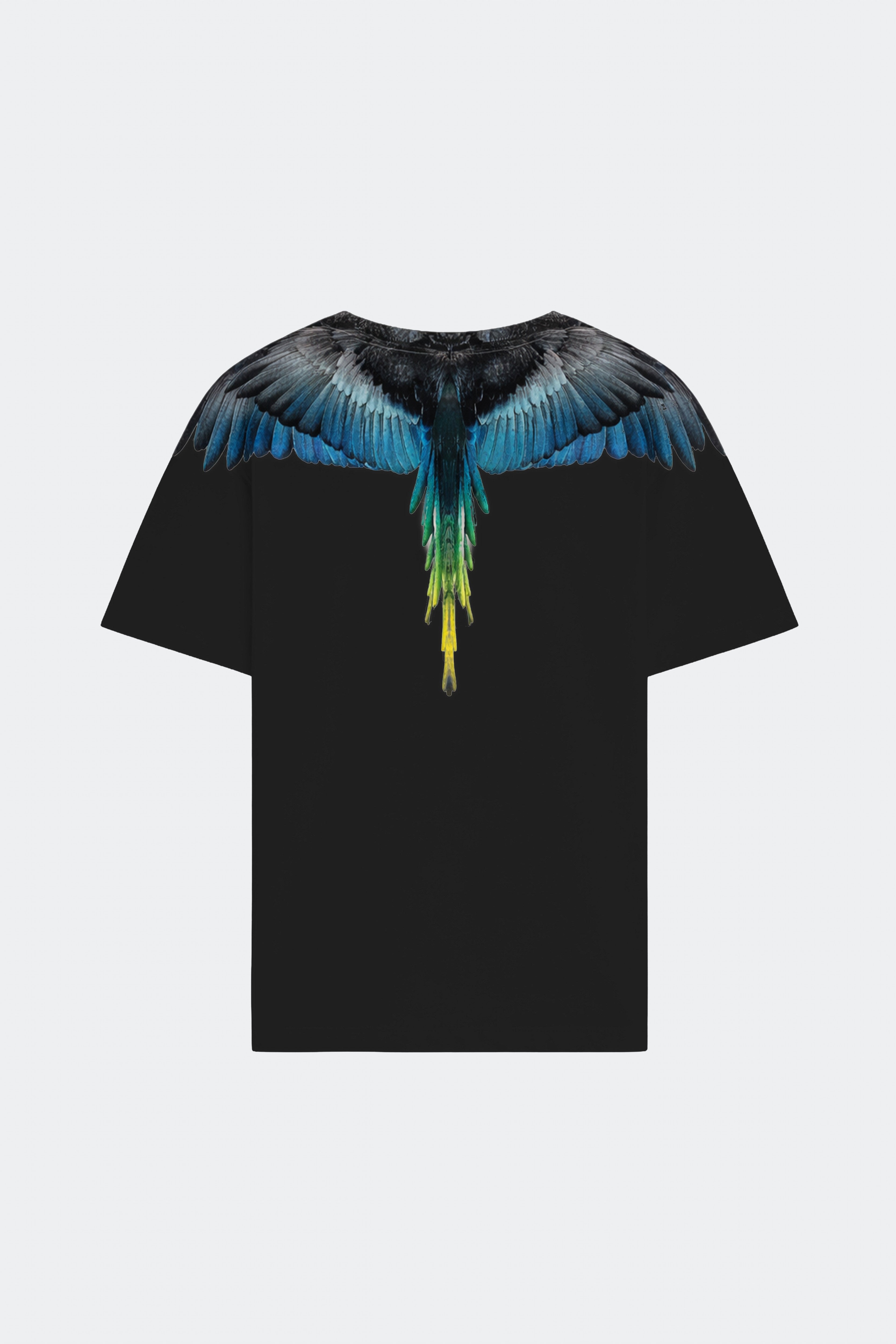 T-Shirt Con Stampa Ali Aquila