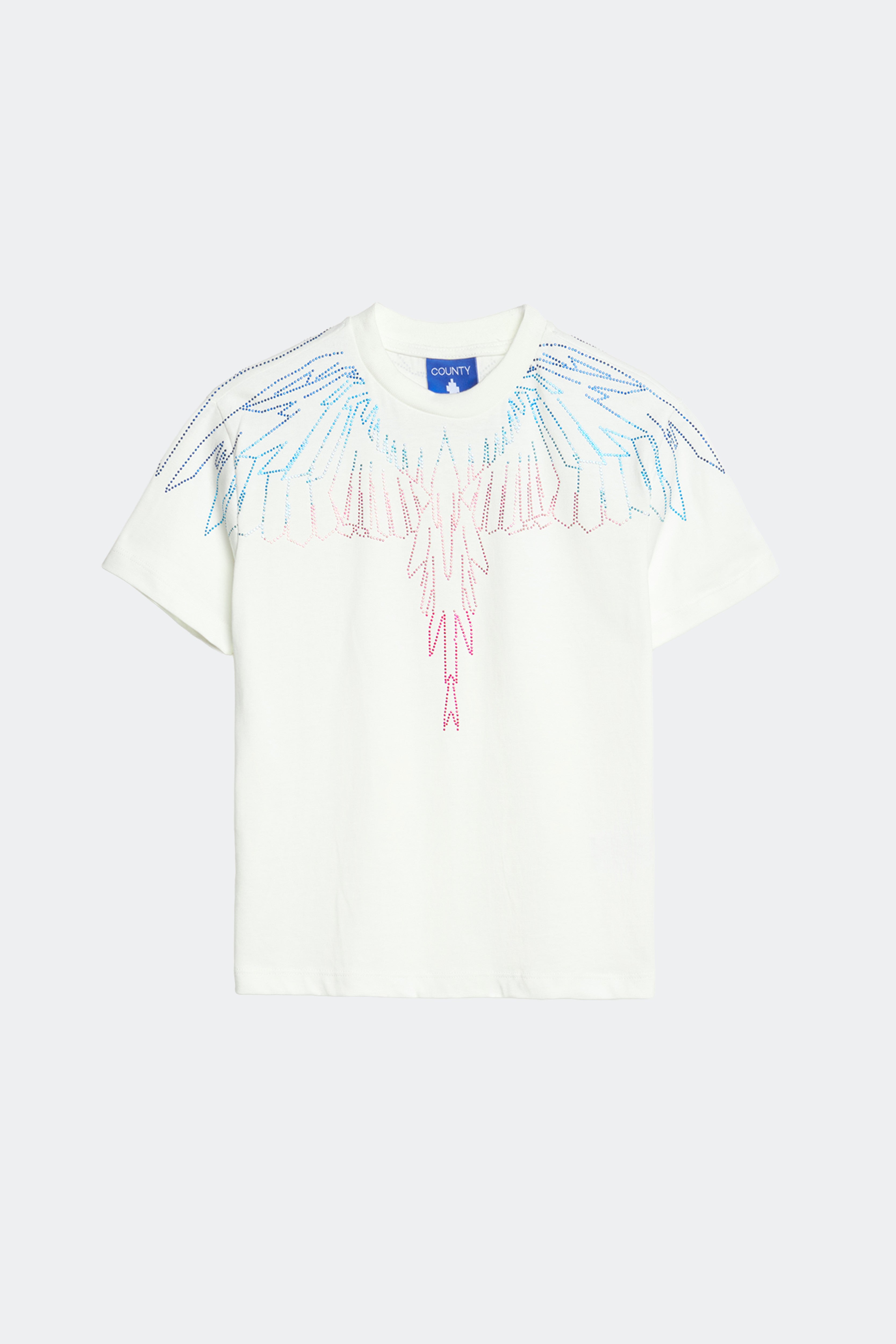 T-Shirt Con Stampa Ali Aquila