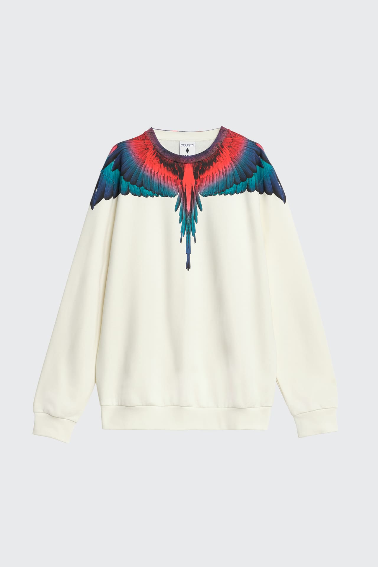 Felpa Girocollo Con Stampa Ali