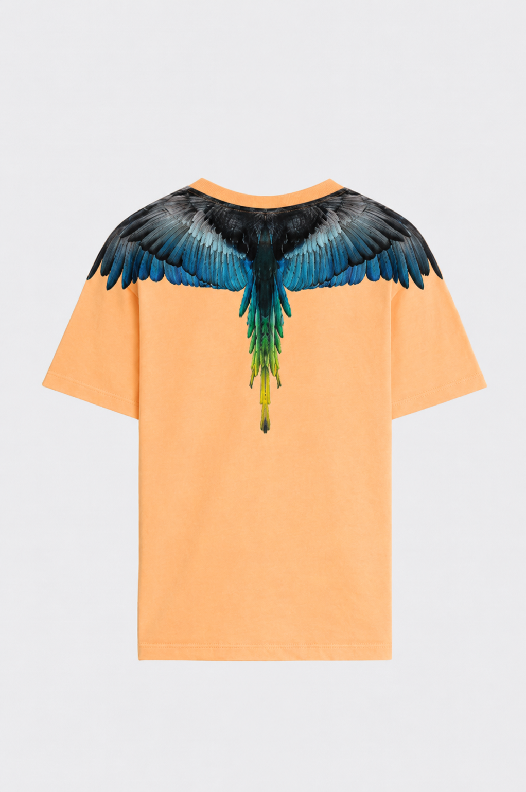 T-Shirt Con Stampa Ali Aquila